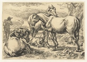 Três cavalos
Animais (título da série)