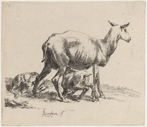 Ovelha amamentando seu cordeiro de Nicolaes Pietersz Berchem