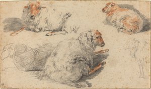 Ovelha de Nicolaes Pietersz Berchem