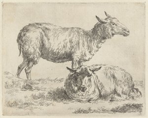 Staand en liggend schaap Schapen (título da série) Animais desenhados à vida e impressos na água pelo ar forte pelo Studio and Art of Nicolai Berchem (título da série) de Nicolaes Pietersz Berchem