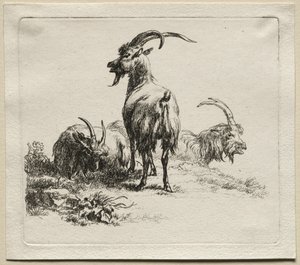 Três cabras. de Nicolaes Pietersz. Berchem
