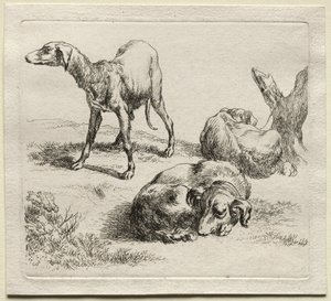 Três cães de caça.