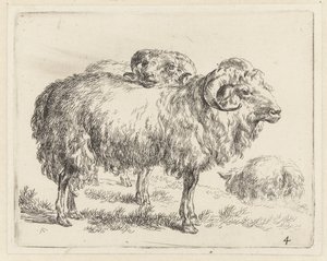 Dois carneiros e uma ovelha
Ovelhas (título da série)
Animalia ad vivum delineata et aqua forti aeri impressa Studio et Arte Nicolai Berchemi (título da série)