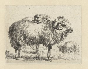 Dois carneiros e uma ovelha
Ovelhas (título da série)
Animalia ad vivum delineata et aqua forti aeri impressa Studio et Arte Nicolai Berchemi (título da série) de Nicolaes Pietersz Berchem