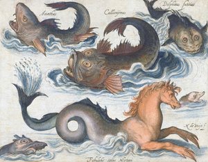 Cavalo-marinho e criaturas aquáticas imaginárias de Nicolaes de (after) Bruyn
