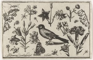 Flores, borboleta e um pássaro Pássaros, flores, insetos etc. (título da série)