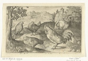 Três galinhas e dois galos Pássaros e insetos (título da série) de Nicolaes de Bruyn