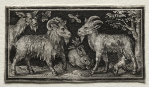 Cabras e lebre, 1594. de Nicolaes de Bruyn