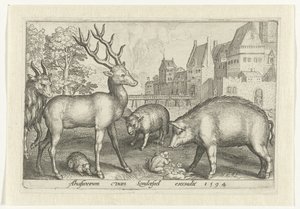 Veado, ouriço-cacheiro, ovelha, rã e porco
Animalivm qvadrvpedvm (título da série)
Animais em paisagens (título da série) de Nicolaes de Bruyn