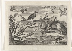Lúpulo e outras aves Pássaros e insetos (título da série) de Nicolaes de Bruyn