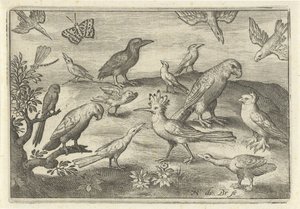 Lúpulo e outras aves
Aves e insectos (título da série) de Nicolaes de Bruyn