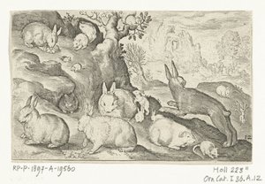 Coelhos, esquilo, porquinho-da-índia e rato
Animalivm qvadrvpedvm (título da série)
Animais em paisagens (título da série) de Nicolaes de Bruyn