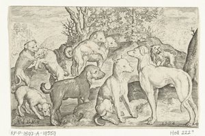 Nove cães
Animalivm qvadrvpedvm (título da série)
Animais em paisagens (título da série) de Nicolaes de Bruyn