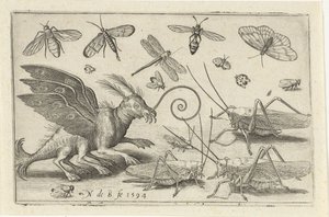 Gafanhotos e criatura de fantasia com asas e pés palmados Pássaros e insetos (título da série) de Nicolaes de Bruyn