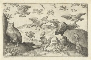 Coruja com presa predada por outras aves Pássaros e insetos (título da série) de Nicolaes de Bruyn