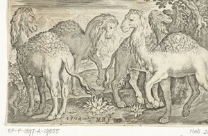 Quatro dromedários Animalivm qvadrvpedvm (título da série) Animais em paisagens (título da série) de Nicolaes de Bruyn