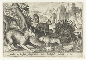 Javali, raposa, castor, porco-espinho e sapo
Animalivm qvadrvpedvm (título da série)
Animais em paisagens (título da série)