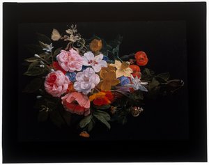 Um festão de rosas, madressilvas, lírios, narcisos, calêndulas, uma fritilária cabeça de serpente
