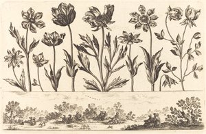 Impressão de flores nº 1
