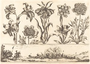 Impressão de flores nº 8