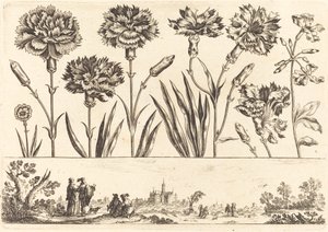 Impressão de flores nº 9