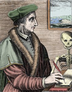 Jean Fernel (1497-1558), astrônomo, matemático e médico francês.
