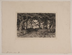 Transporte em uma estrada de floresta de Niels Skovgaard