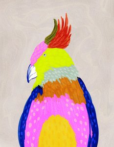 Papagaio tropical colorido de Nikita Jariwala