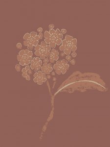 Flores botânicas com um toque terroso