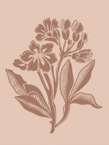 Flores botânicas com tons terrosos de Nikita Jariwala