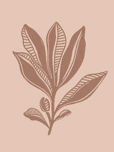 Desenho botânico natural de Nikita Jariwala