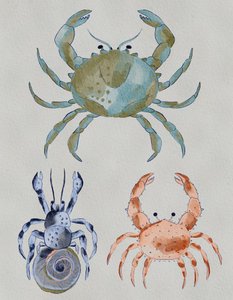 Caranguejos do oceano - Aquarela de Nikita Jariwala
