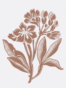 Ilustração floral rústica de Nikita Jariwala