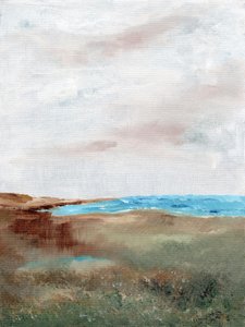 Paisagem serena da praia de Nikita Jariwala