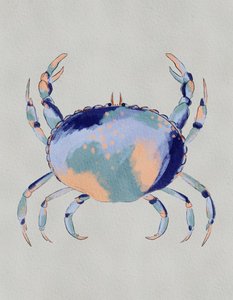 Caranguejo-azul-sereno de Nikita Jariwala