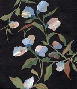 Flores de ervilha-de-cheiro de Nikita Jariwala