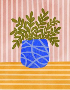 Planta de interior com cores vivas de Nikita Jariwala