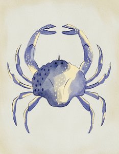 Caranguejo azul em aguarela de Nikita Jariwala