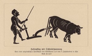 Arado grego antigo puxado por bois (litografia) de Nikosthenes
