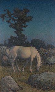 Cavalo branco ao anoitecer