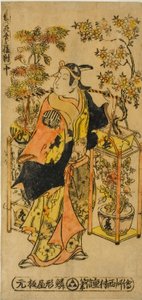 Mascate de Flores das Quatro Estações - Um Conjunto de Três (Shiki no hanauri sanpukutsui) de Nishimura Shigenobu
