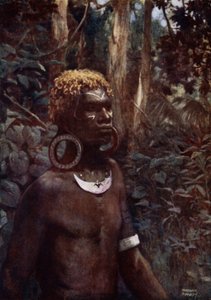 A Rubiana Native, Ilhas Salomão (cor litho) de Norman Hardy