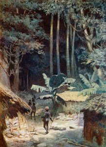 Nas profundezas de uma floresta da Melanésia, 1908 de Norman Hardy