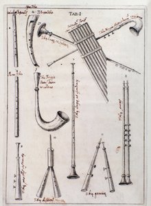 Página de instrumentos de sopro "" Três tipos de instrumentos musicais novos "," trabalho sobre instrumentos antigos de Francesco Bianchini