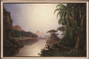 Paisagem tropical de Norton Bush