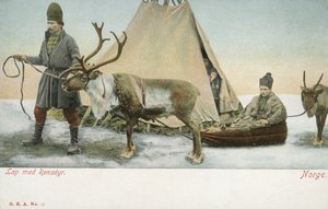 Lapónias com renas, Noruega (foto a cores) de Norwegian Photographer
