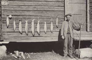Pesca de truta de Norwegian Photographer