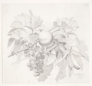 Uvas e pêssegos