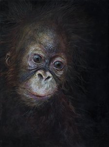 Bebé orangotango 3, 2015 (acrílico sobre madeira)