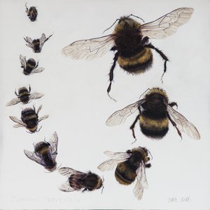 Bombus, 2015 (acrílico sobre madeira revestida a gesso)